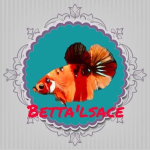 Logo Betta'Lsace